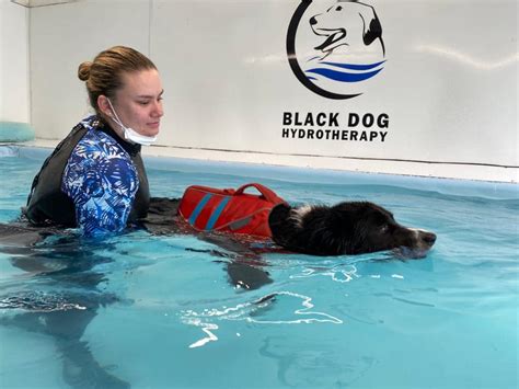 Black Dog Hydrotherapy